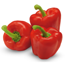 Red peppers