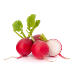 Radish (bunch)