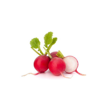 Radish (bunch)