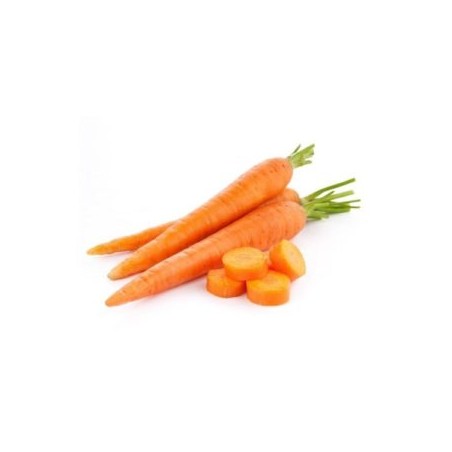 Carottes