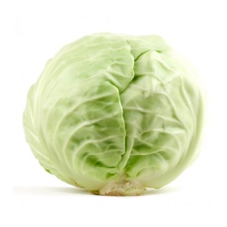 White cabbages