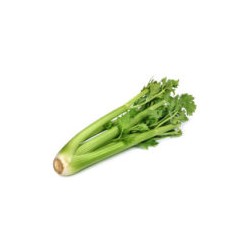 Celery (100g)