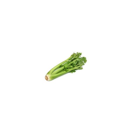 Celery (100g)