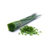 Chives