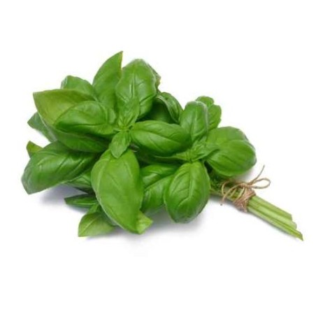 Basil (bunch)