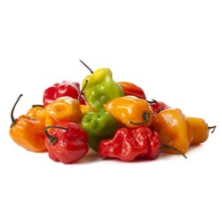 Piment habanero