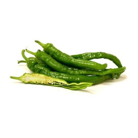 Long green chili pepper