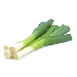 Leek