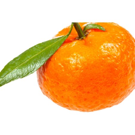 Tangerine