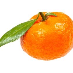 Tangerine