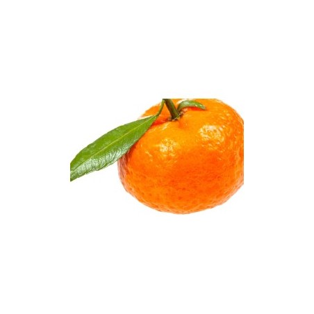 Tangerine